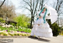 White Bunny Miku